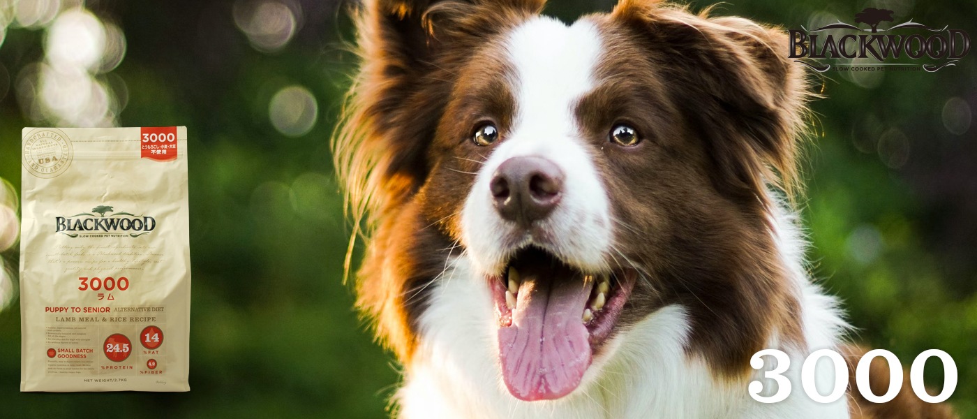ブラックウッド 3000 ドッグフード | ブランド別,ブラックウッド