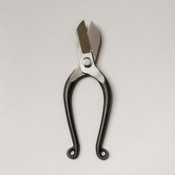 フラワーショップ花楽 | 花鋏特集