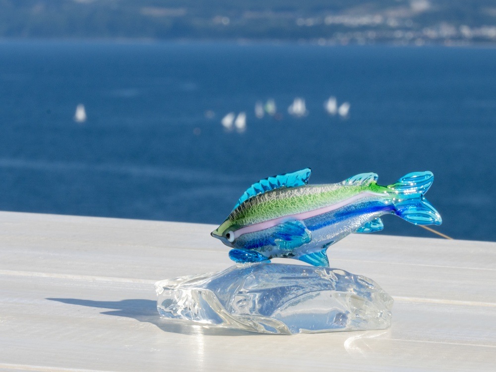 アウトレット】がらすの魚 | 北一硝子 まごころお届け便