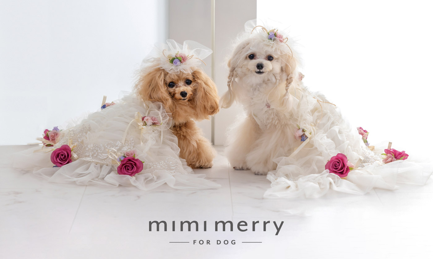 ミラクルブロッサム ドッグドレス [2way dress] XS-L サイズ展開 日本製