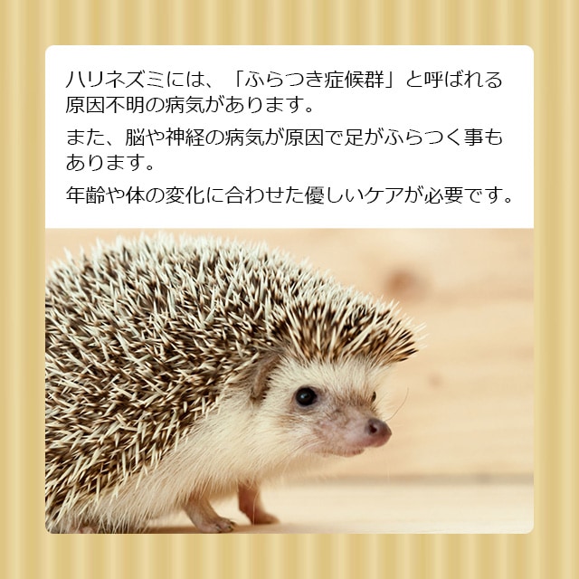 ハリネズミ用ソフトペレットフード 5袋セット！最安値 ベスト