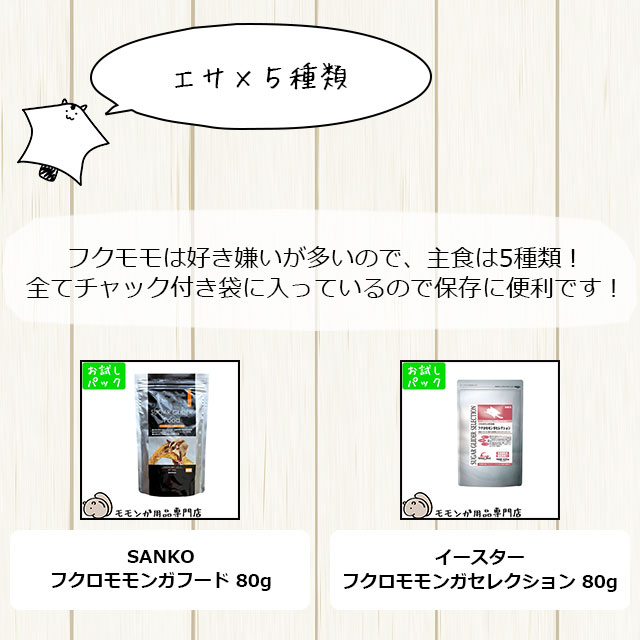 フクロモモンガの飼育初心者セット01 基本の飼育用品セット 専門店が