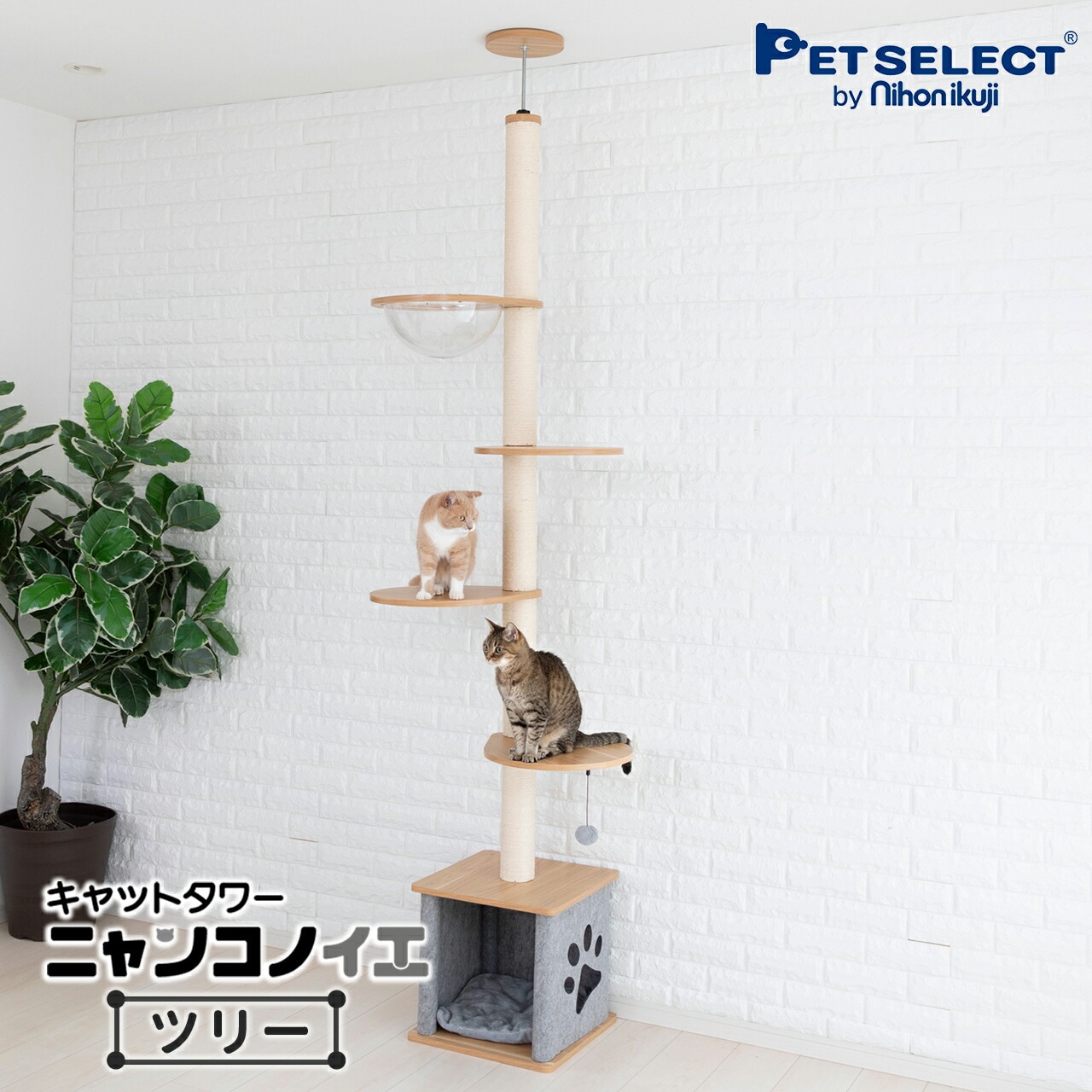 Petselect by Nihonikuji 公式オンラインショップペットセレクト 公式