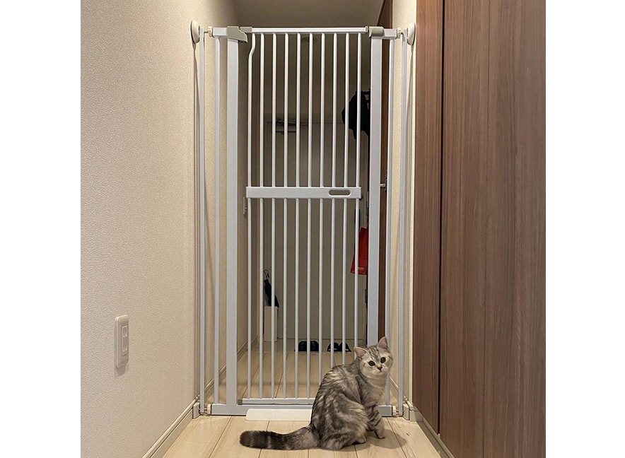LIFAXIA ペットゲート セール 猫 170cm ハイタイプ 猫脱走防止フェンス