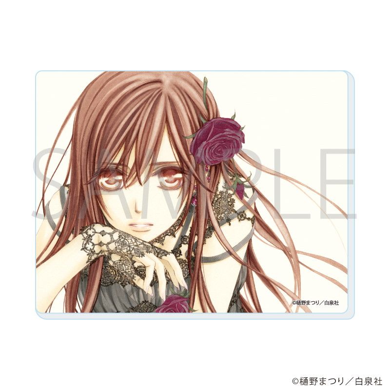 ヴァンパイア騎士 キャンバスアート 1 完結 LaLaDX 白泉社 枢 優姫 零