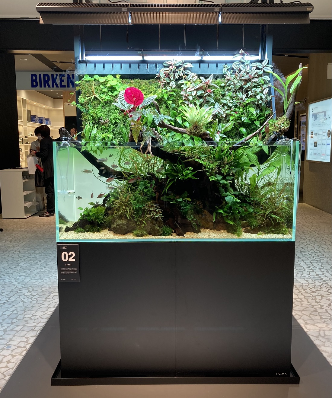 ガラスケース×LEDで植物栽培！ ｢パルダリウム｣ポップアップを期間限定