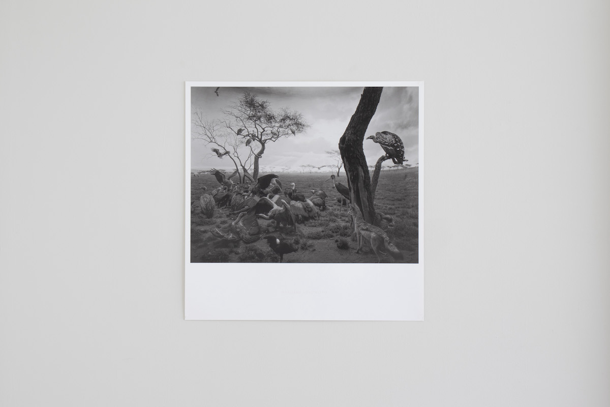 1993（杉本博司） 家具・インテリア 限定マット額装品/杉本博司