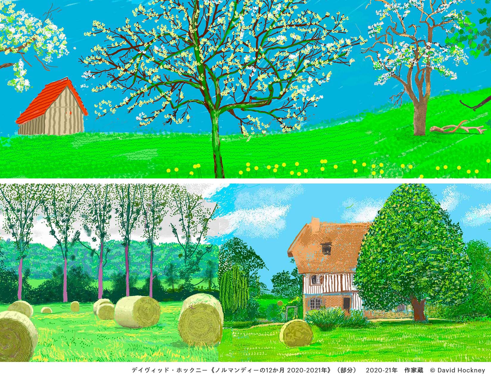 デイヴィッド・ホックニー 回顧展 ポスター メトロポリタン美術館 1988