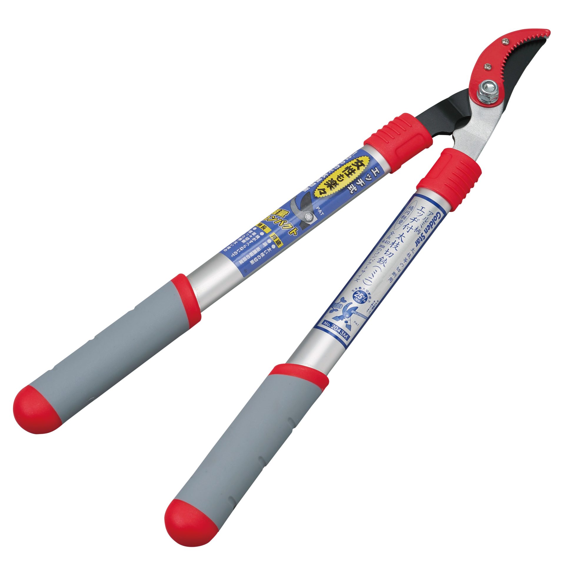 2043M - キンボシ株式会社