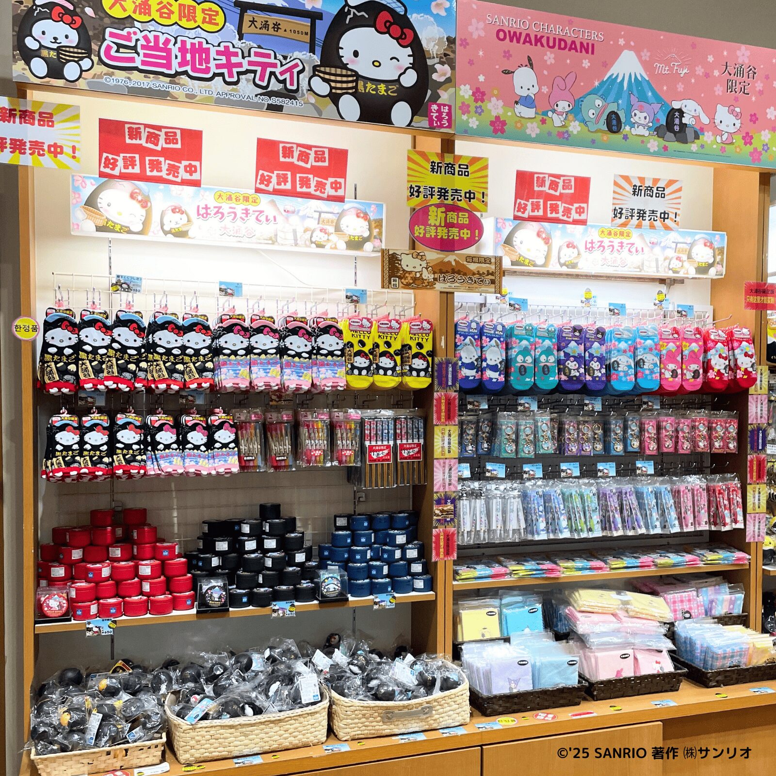 神奈川×箱根・大涌谷 | あすなろ舎