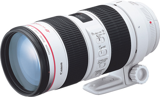 Canon EF 70-200mm F2.8 L USM キャノンレンズ