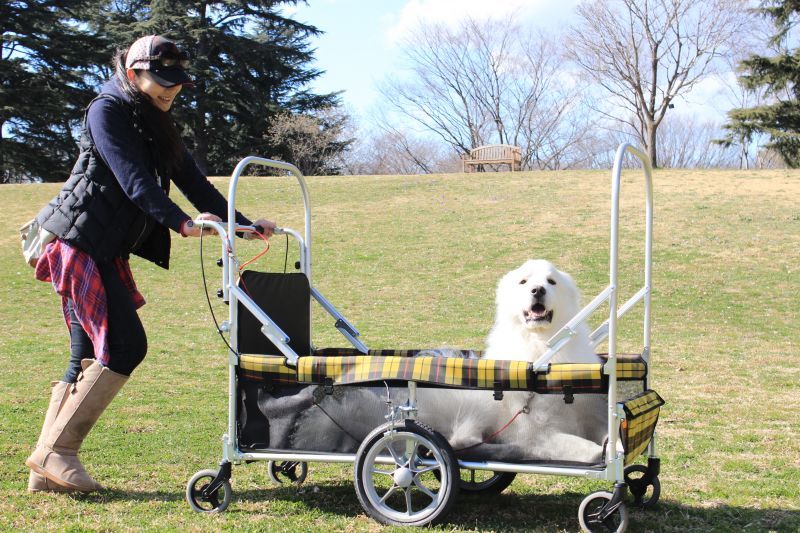 超大型犬用ドギーカート「R－120」誕生！