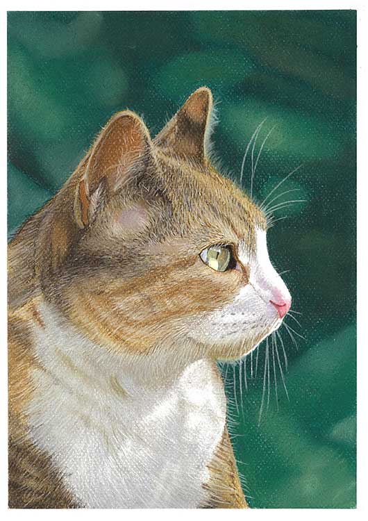 気高き猫 色鉛筆画 パステル 色鉛筆」で猫を描くの？いや○○の方が