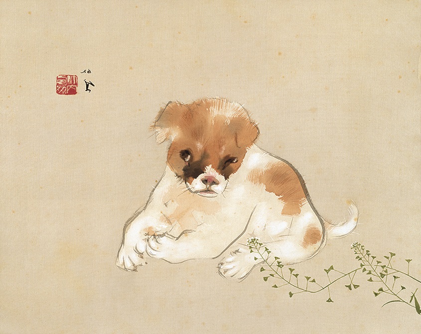 円山四条派 山元春挙 春挙 狆の図 犬絵 犬の絵 掛軸 日本画 日本 春の 絵
