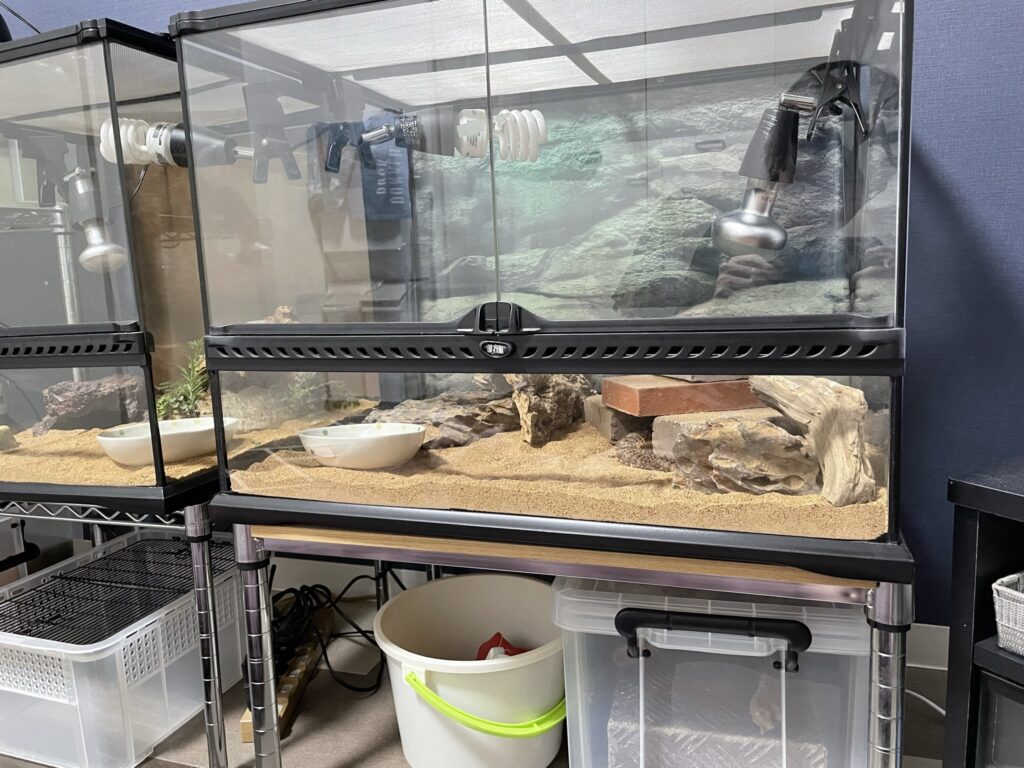 爬虫類ケージ 爬虫類飼育ゲージ 90ラック用サイズ 天井金網仕様 爬虫類