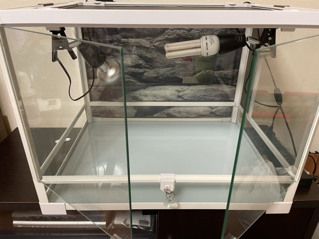 パンテオン カノン6045をレビュー】初心者におすすめの飼育ケージ