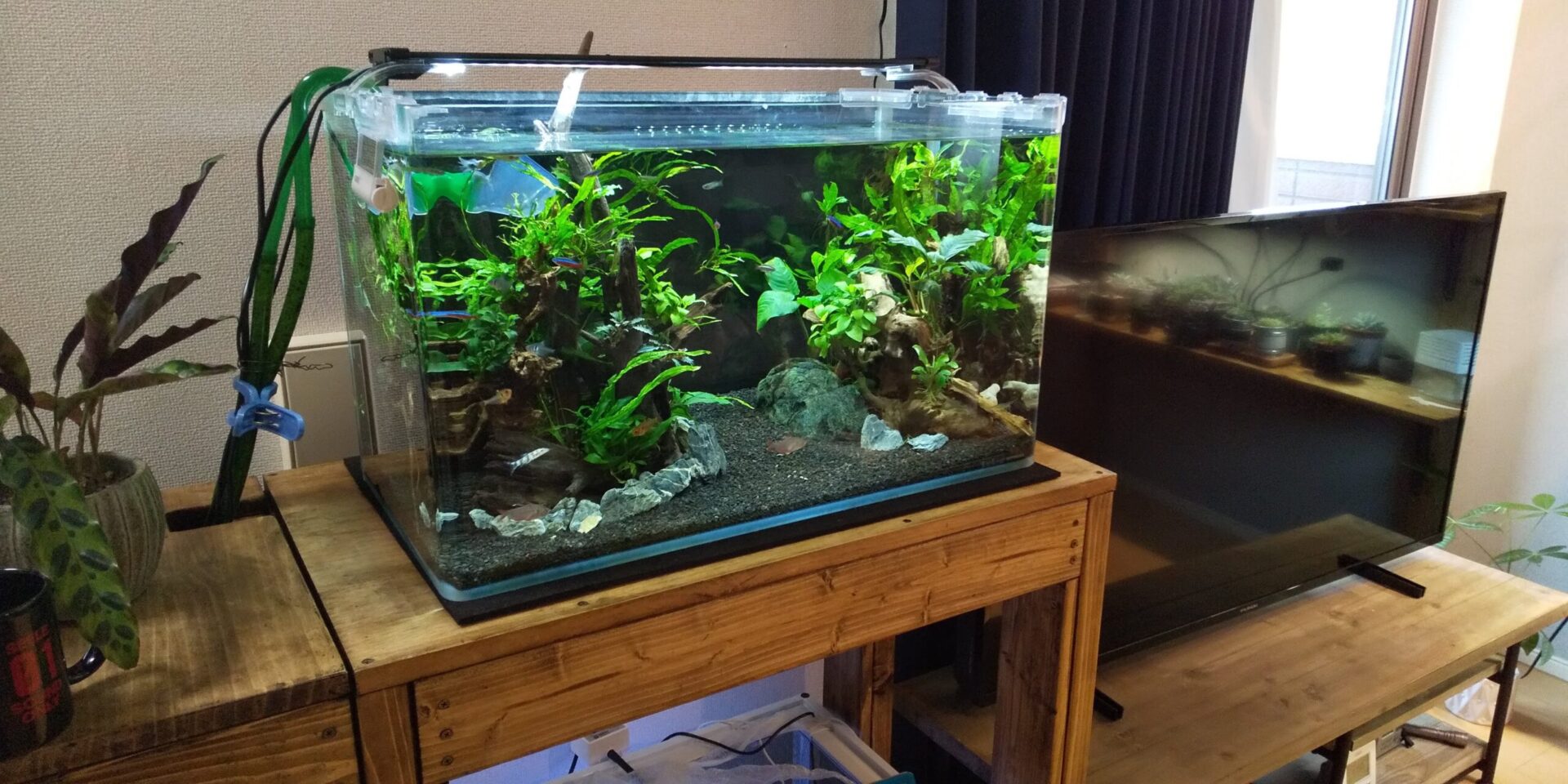 引き取り限定 ADA45㎝ 陰性水草水槽フルセット 引き取り限定 】45㎝ADA