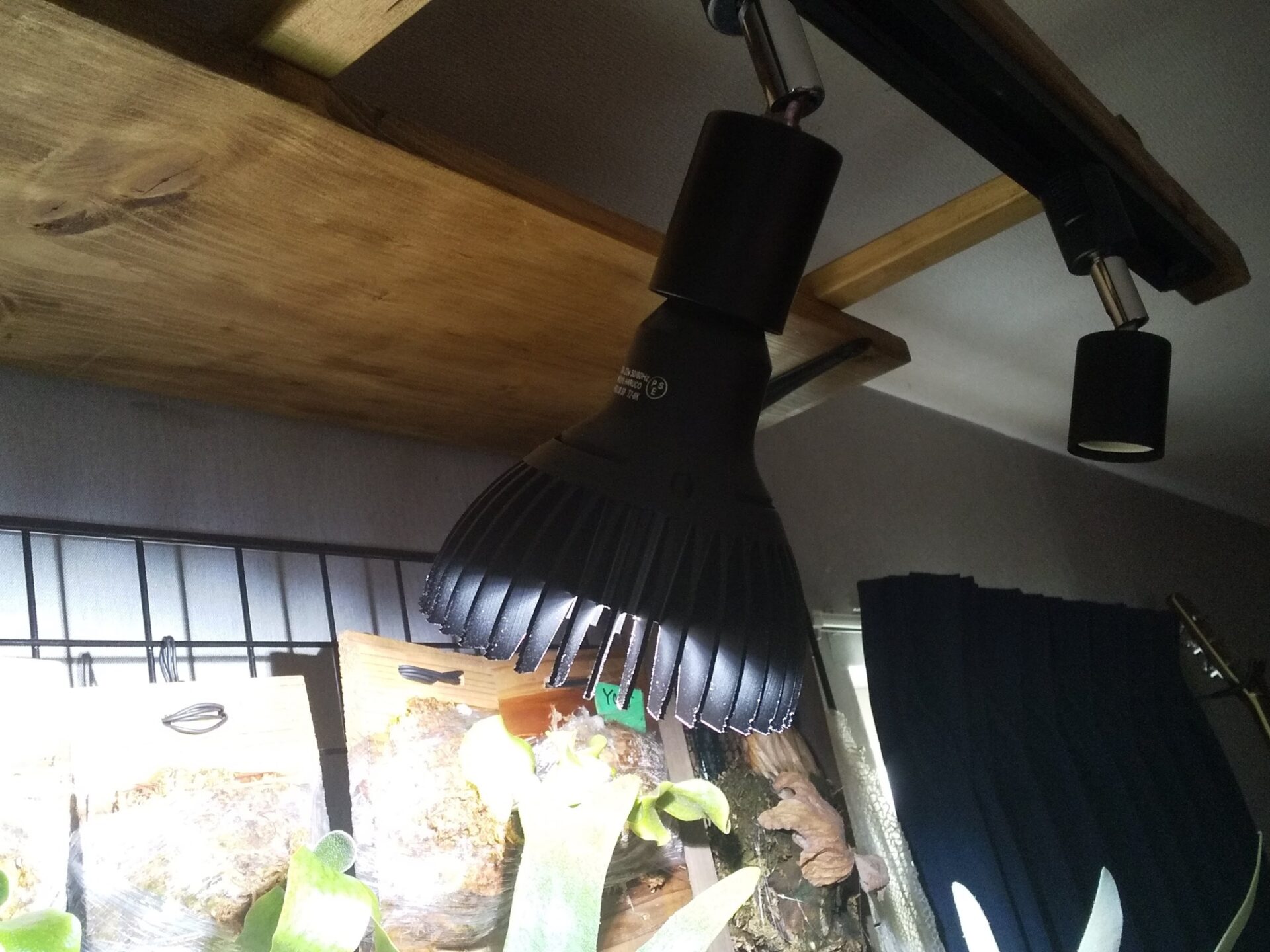 アマテラス超え！】植物育成ライトHASU38 Spec9のメリット5選を徹底解説