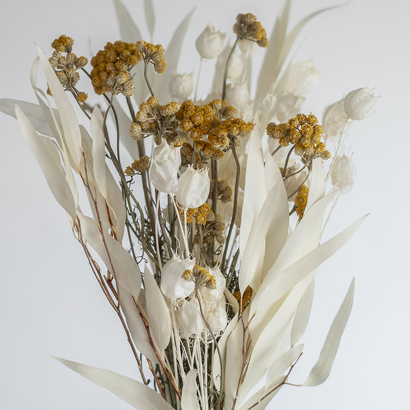 1950年代Turnerミッドセンチュリー リトグラフ プリント フラワー 1950