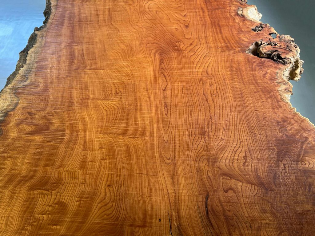 ケヤキ一枚板GX03 青島上之山神社の大欅 | GRAXEN JAPAN