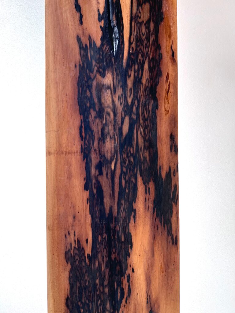 黒柿孔雀杢（緑） 床柱外し材 KG004 | GRAXEN JAPAN