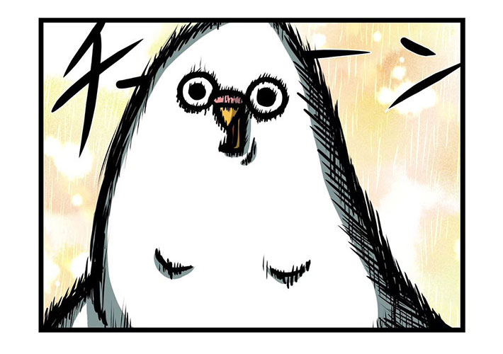 飛ぶのが面倒くさいインコ まさかの行動に「鳥やめたの？」 – grape