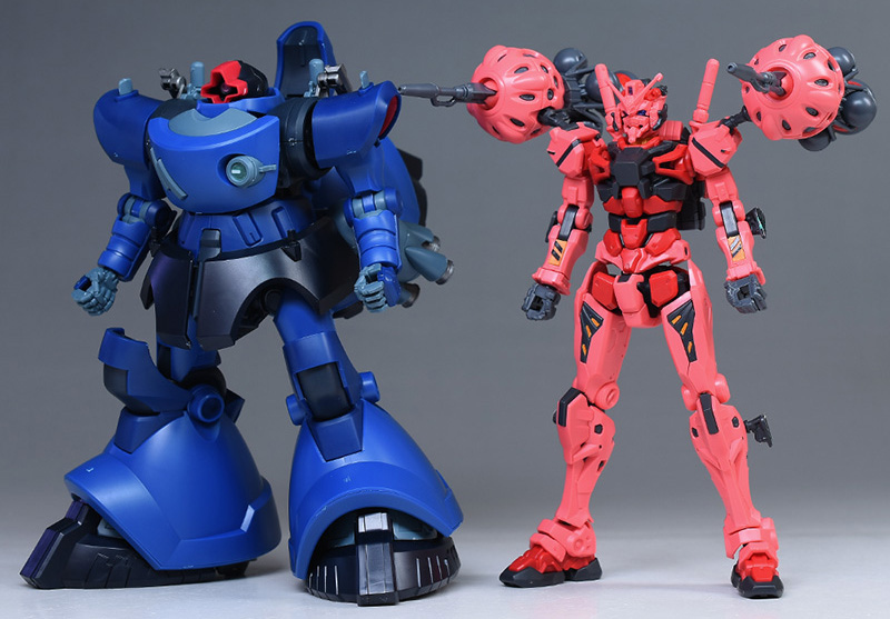 HG シャリア専用リック・ドム（GQ） レビュー | ガンダムブログはじめ