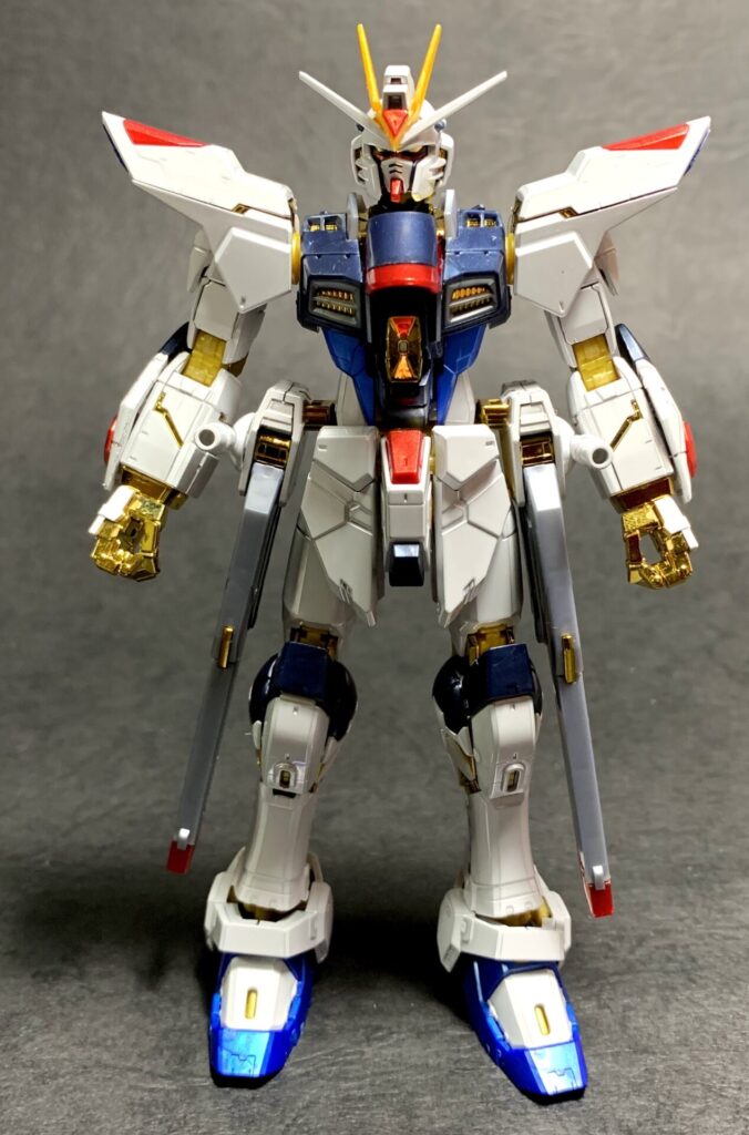 ストフリチタニウム&光の翼セット RG ストライクフリーダムガンダム