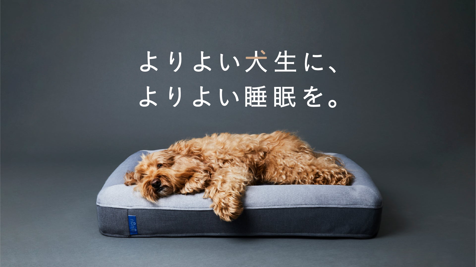 3.0_hero_bruno_PC-100_763c71df