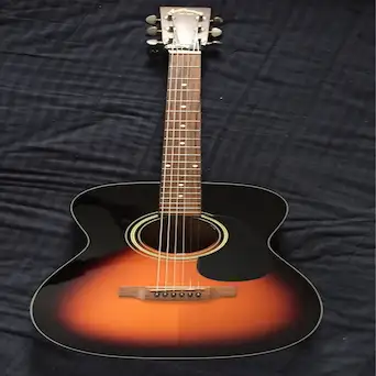 Aria Dreadnought アコースティックギター セットAF-25N Aria