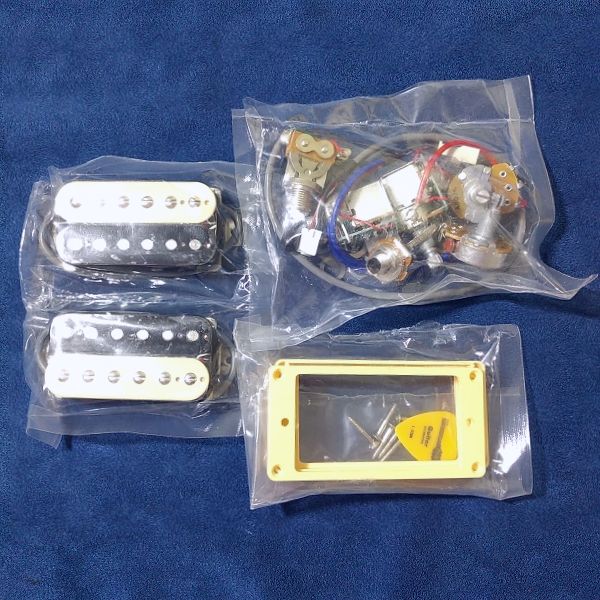 簡単】Epiphone ProBucker レビュー！2個セットでお手軽ピックアップ