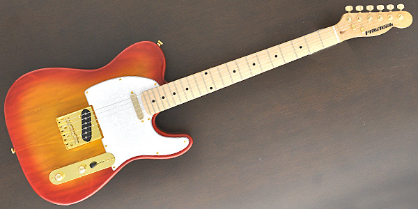 PLAYTECH TL-500 | ギターのえらびかた.com Playtech/プレイテック LP