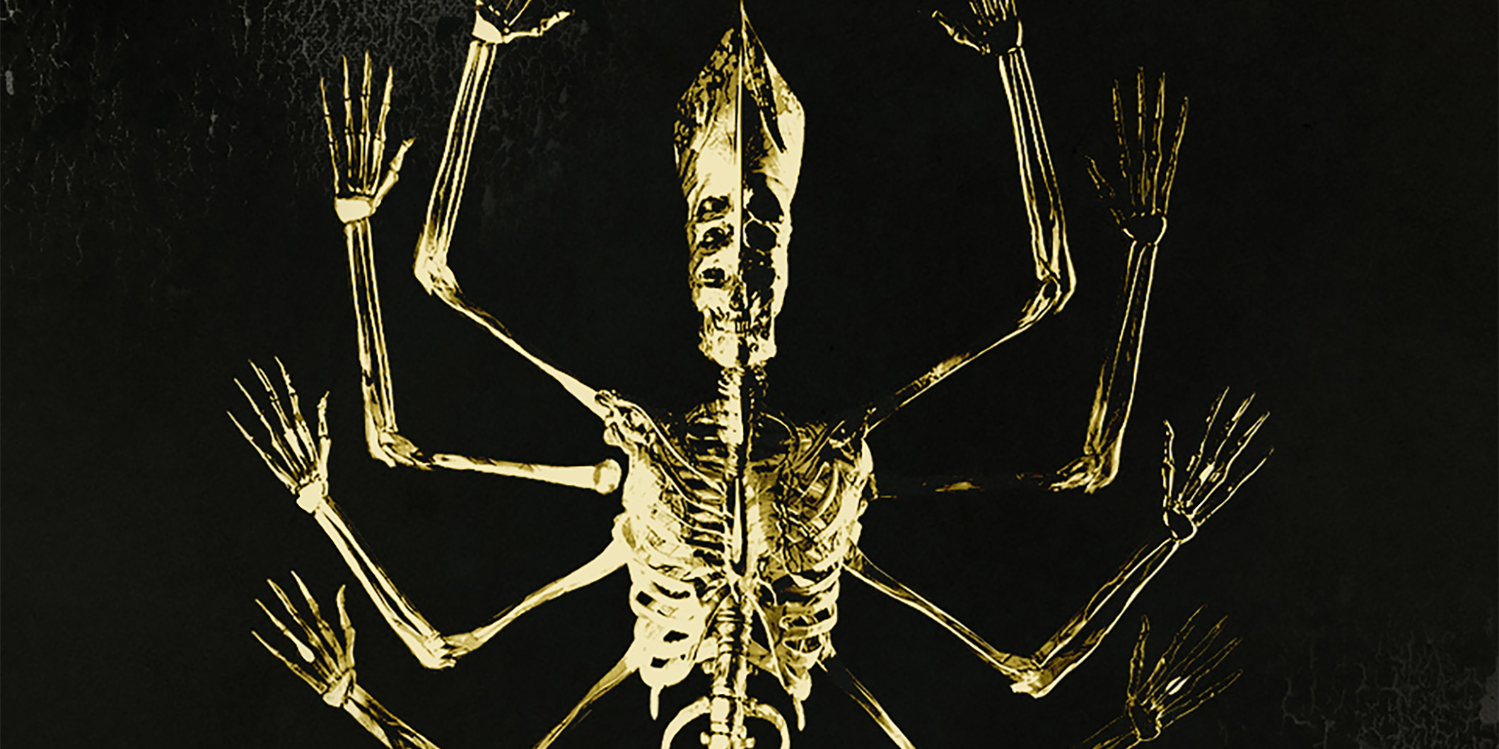 トゥールが2025年12月に19年ぶりとなる待望の単独来日公演を開催