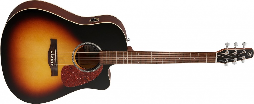 エレアコギター】Seagullよりバリエーション豊かなニューラインナップ