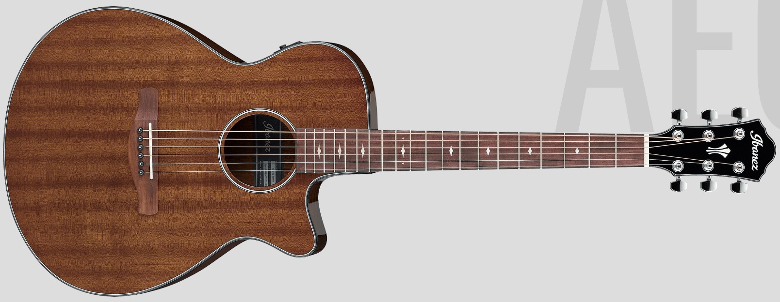 NAMM2020:エレアコギター】-Ibanez-2020年ニューモデル発表！-AE,AEG