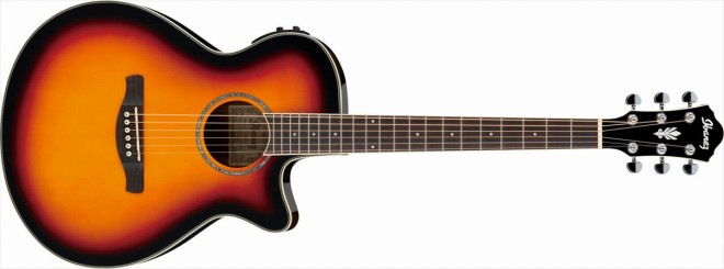 アコースティックギター】Ibanezアコースティックギターに新作続々