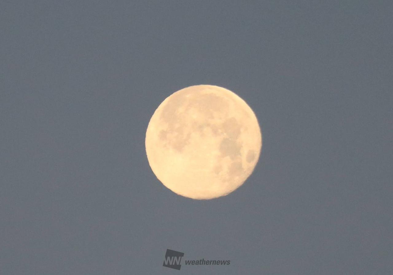 今年最初の満月 注目の空の写真 ウェザーニュース