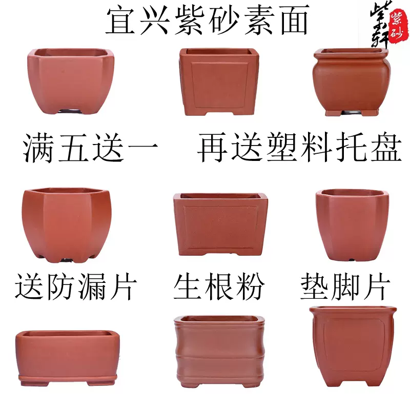 中国宜興 竜紋紫砂鉢 小花鉢 菖蒲盆栽 多肉植木鉢 小品盆栽鉢 大品盆栽