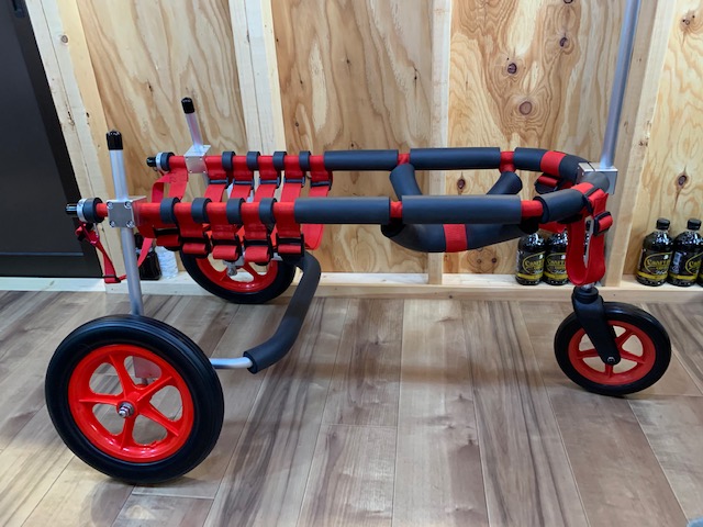 埼玉県のラブラドールレトリーバー はなちゃんの犬の車椅子と三輪車