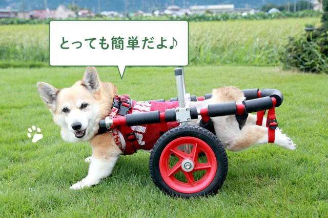 はな工房】のこだわり｜犬用車椅子・歩行器なら【はな工房】
