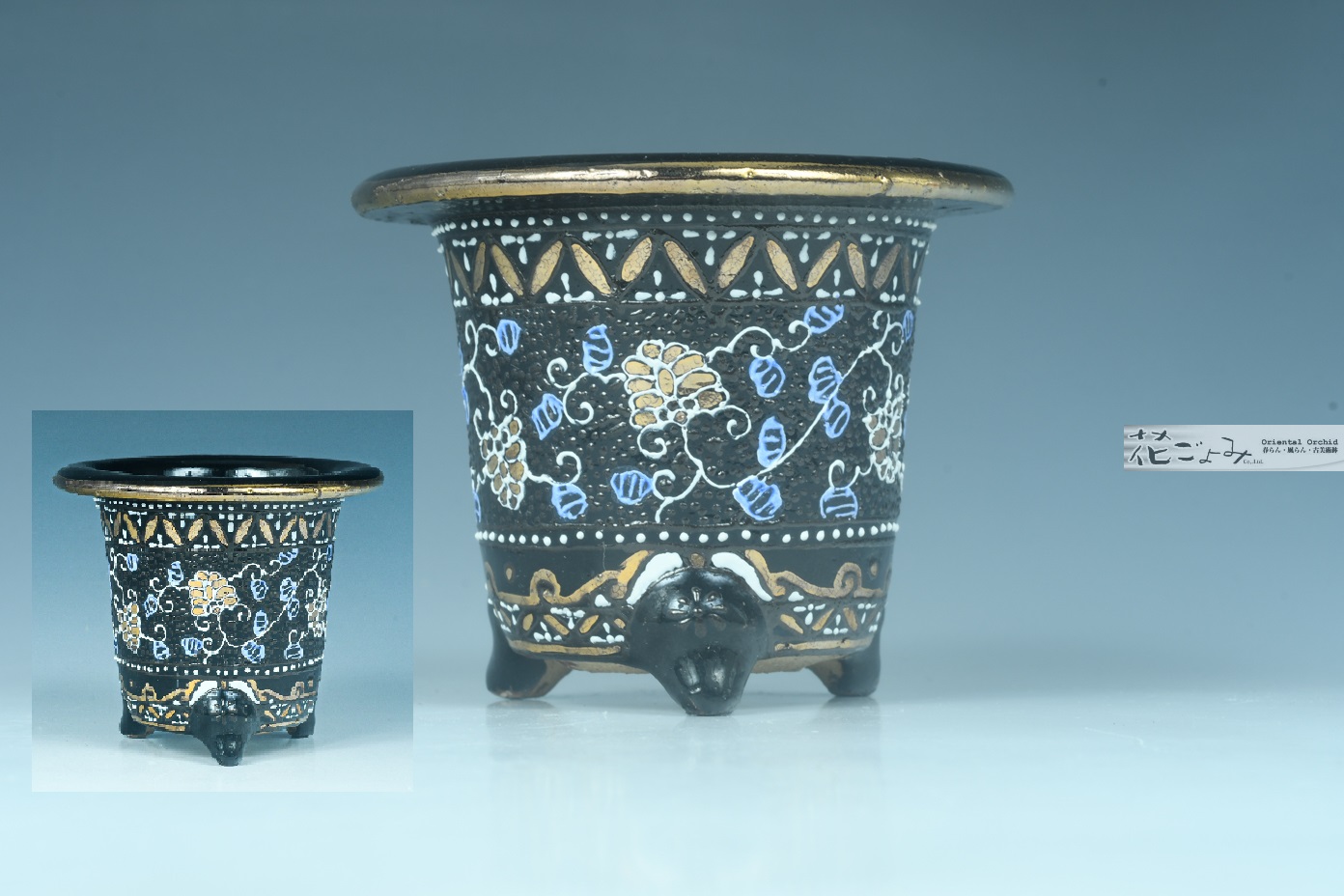 加茂黒釉・古鉢写し寸胴京樂錦鉢 - 東洋蘭専門店 花ごよみ | 春蘭