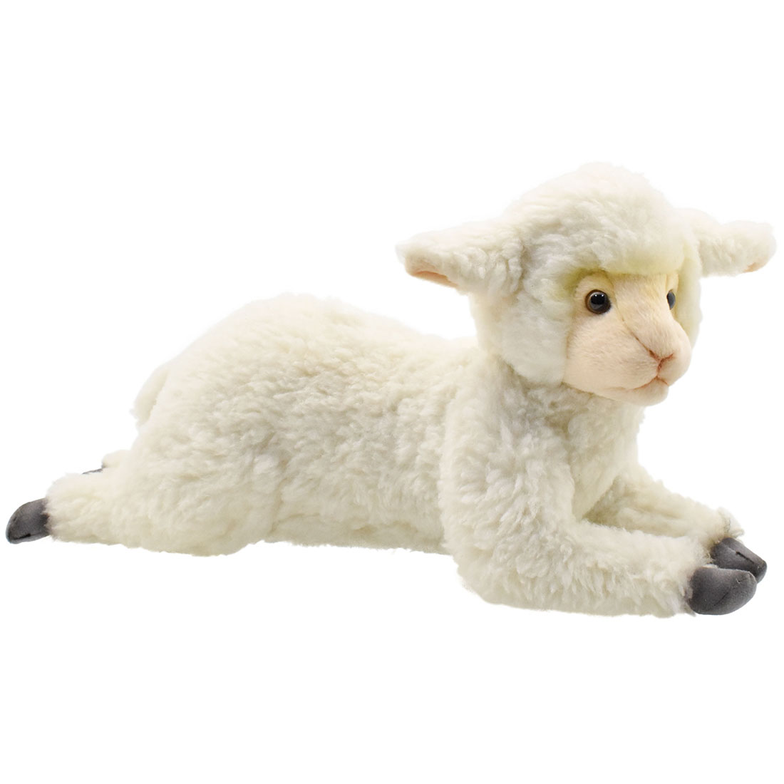 ヒツジ(仔) 43 | HANSA