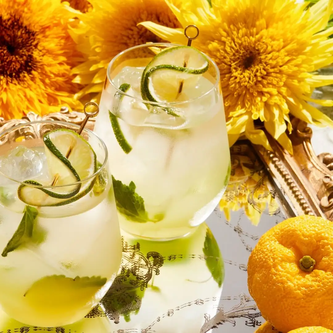 つばき ルイ13世 シェル型化粧箱 新品 バカラ 完品 つばき ルイ13世