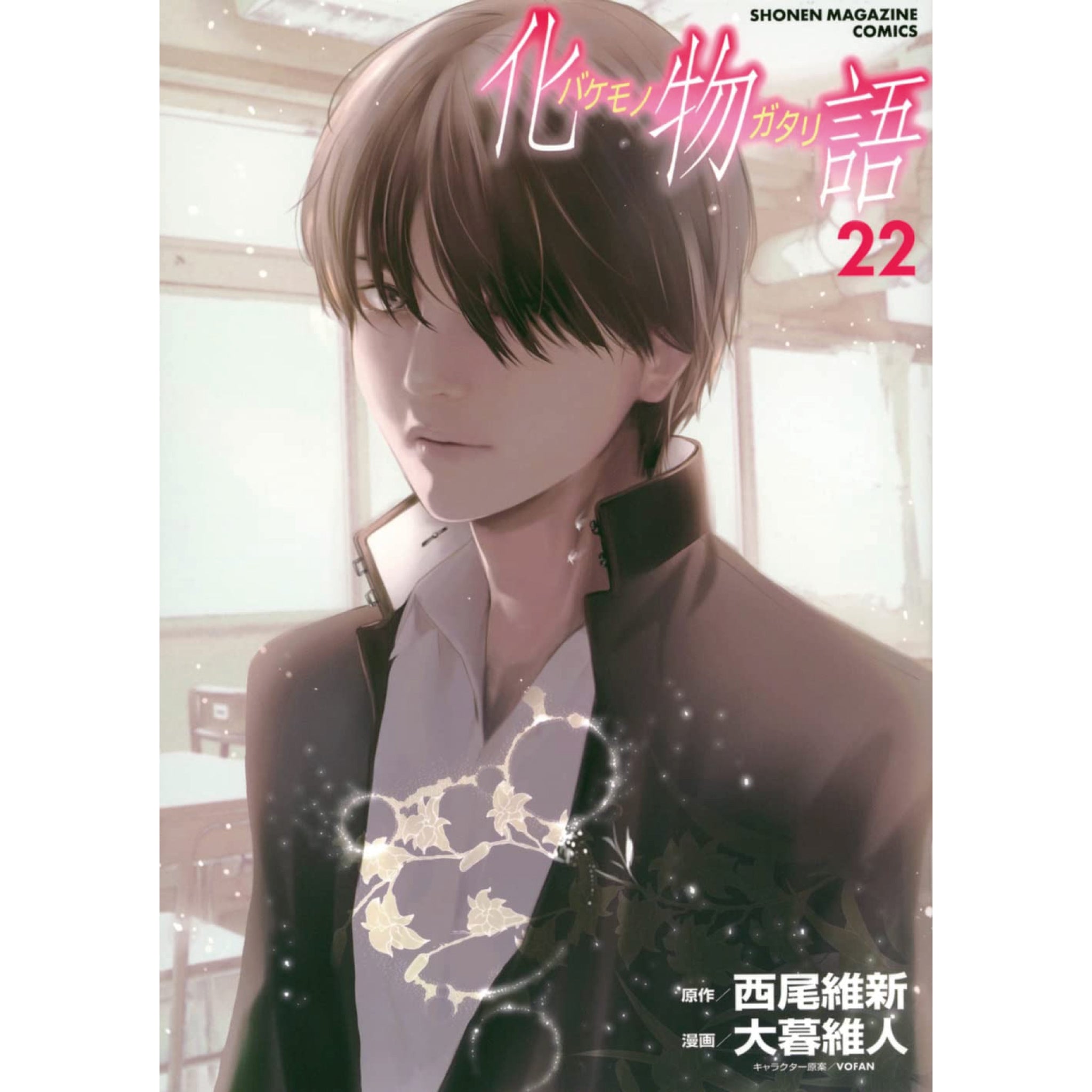 物語シリーズ(化物語～愚物語)19冊+アニメコンプリートガイド