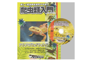 FandK 爬虫類ケージ 小動物 リクガメ フトアゴ ボールパイソン