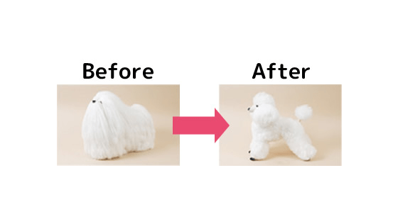 トリマープロフェッショナル講座|通信教育講座で資格なら「ヒューマン