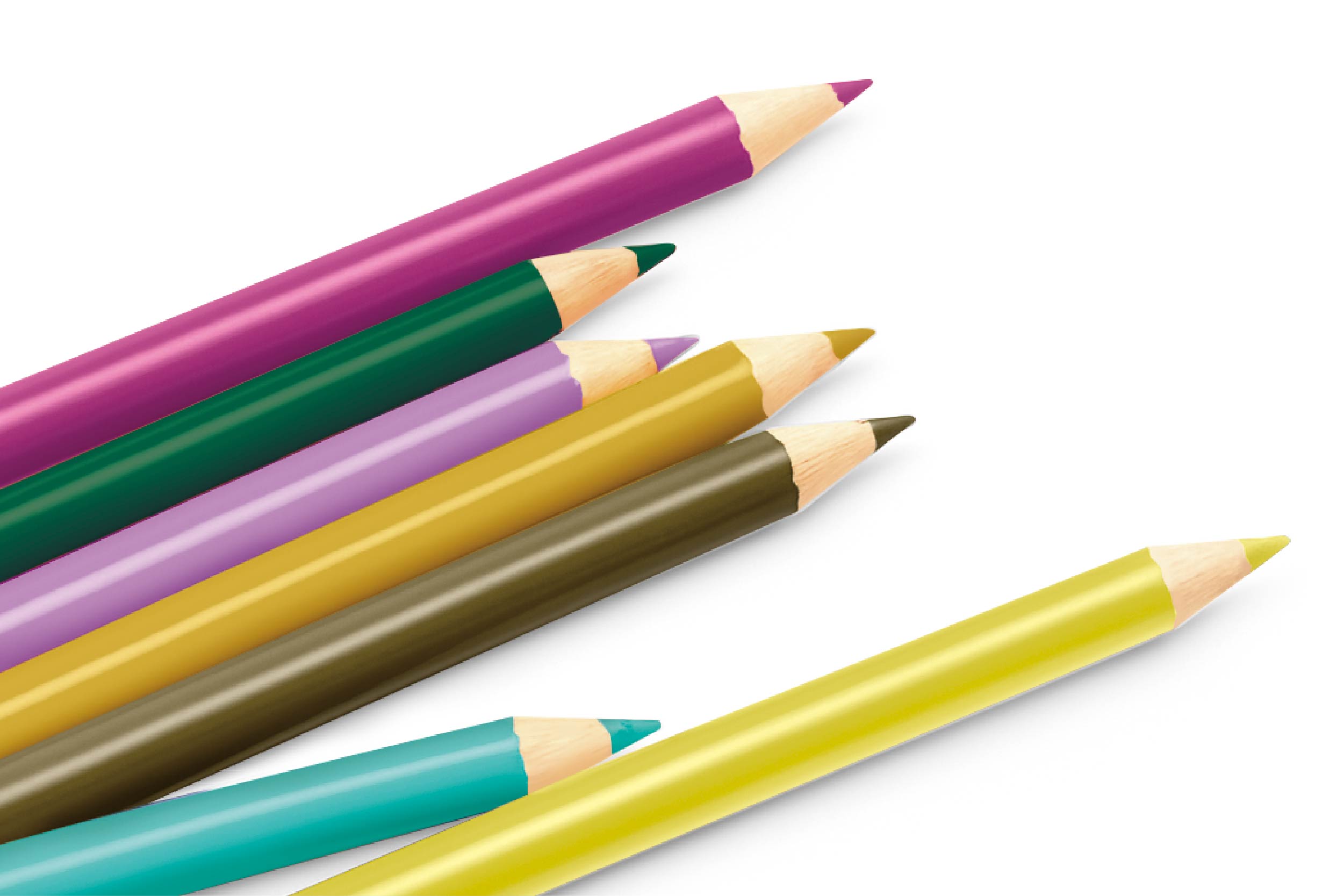 色えんぴつ48本セット | 株式会社ハック