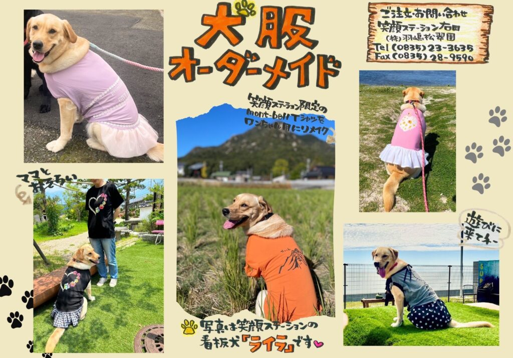 犬服オーダー 犬服 あづみょん ご確認 ハンドメイド ハンドメイド犬服 あづ