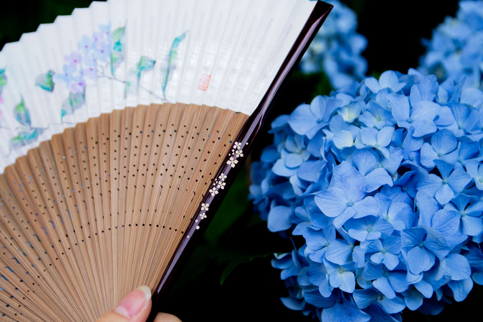 高島孝風 手描き螺鈿 扇子セット（全3種類） – 白竹堂オンラインショップ