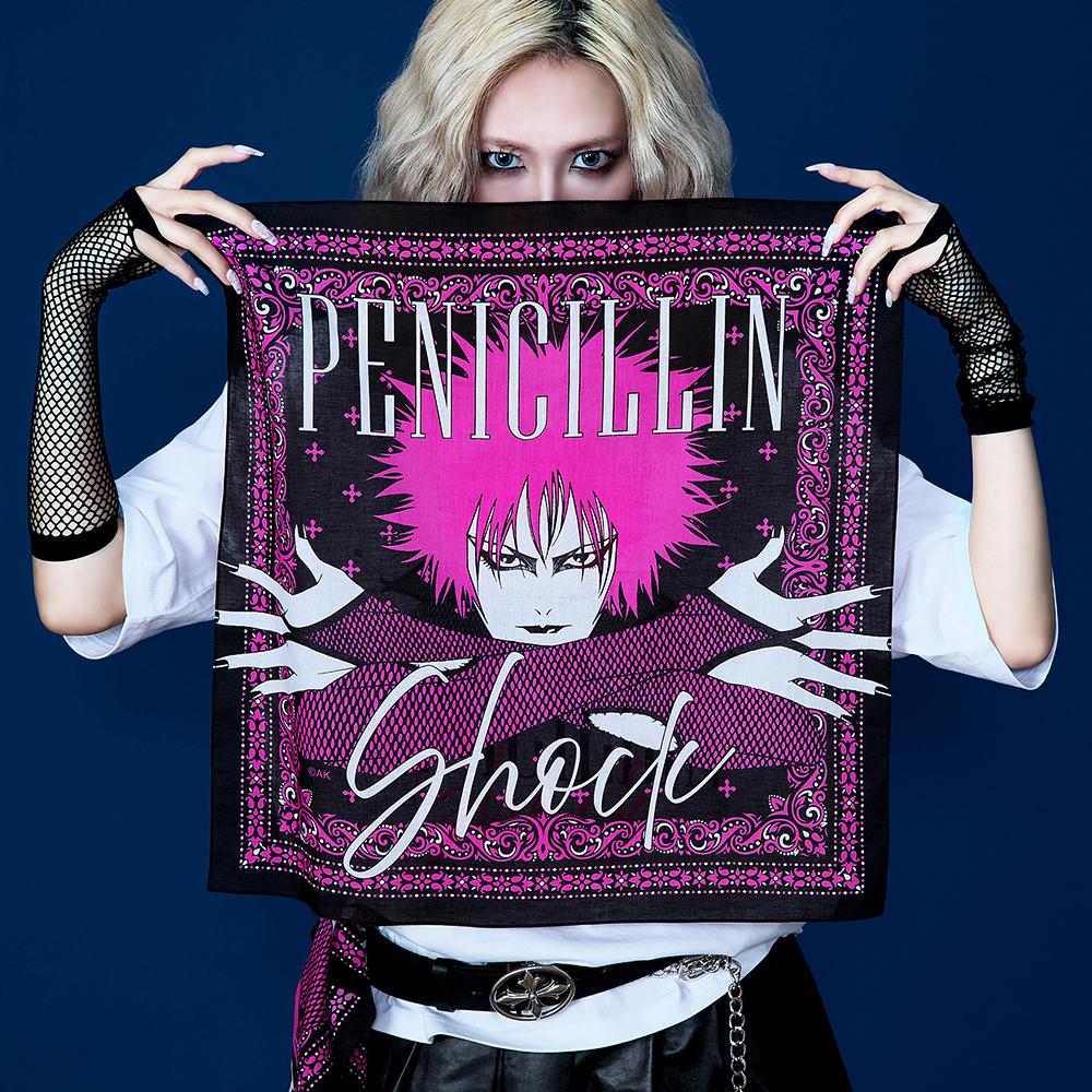 D*1様 【21】上條淳士 B1サイズ カイエ ポスター D*1様 【21】上條淳士